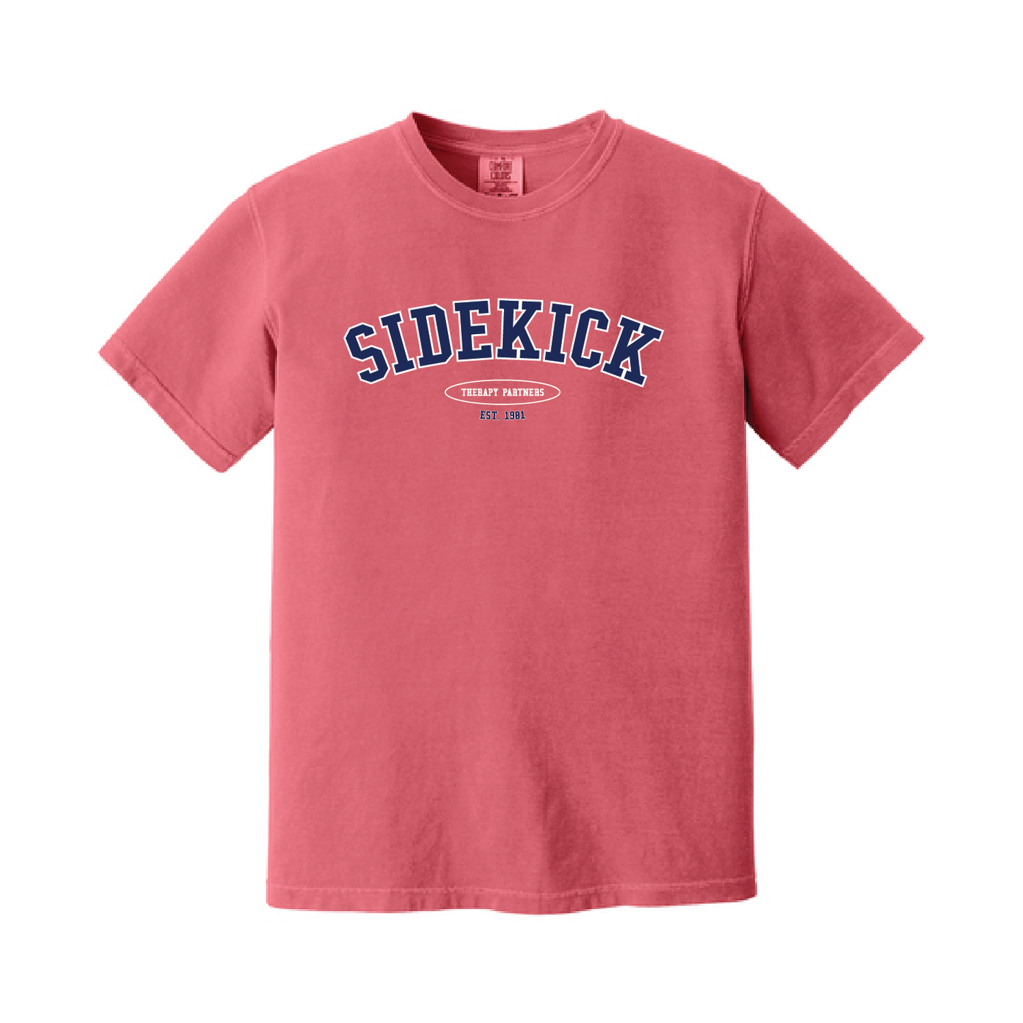 Sidekick | Comfort Colors Tee